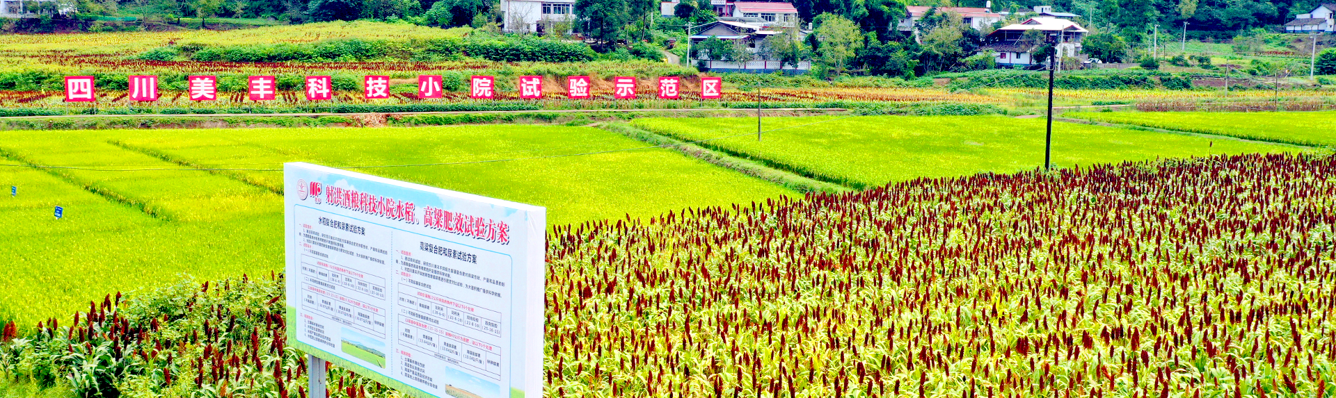 現(xiàn)代農(nóng)業(yè)產(chǎn)業(yè)