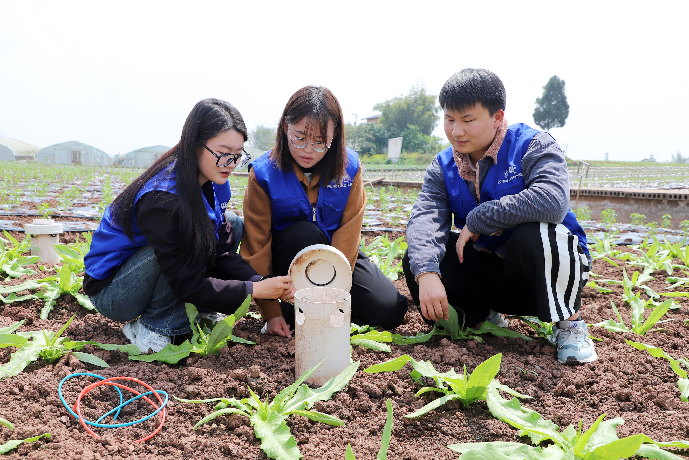 「自找苦吃」是一種怎樣的體驗？
