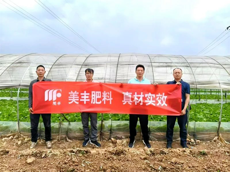 白菜用了黃金3+金2代之后……
