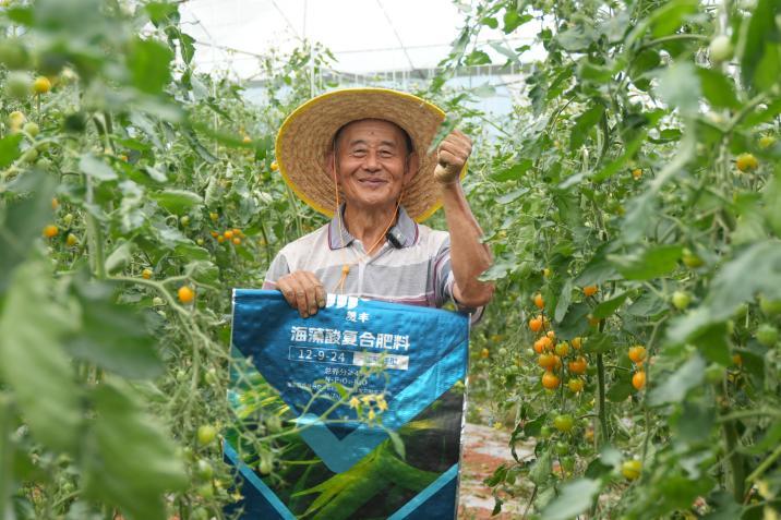 川觀新聞：科學(xué)施肥促增收  助力瓜果飄香